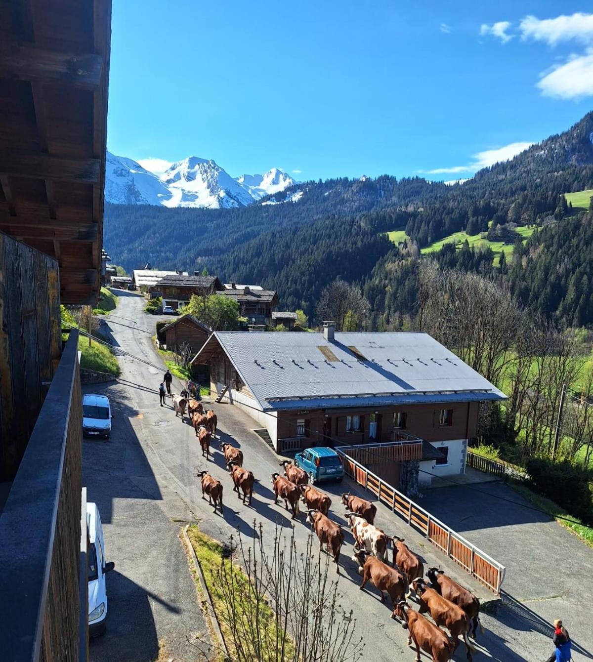 La Loulettaz Apartment Le Grand-Bornand Exterior foto